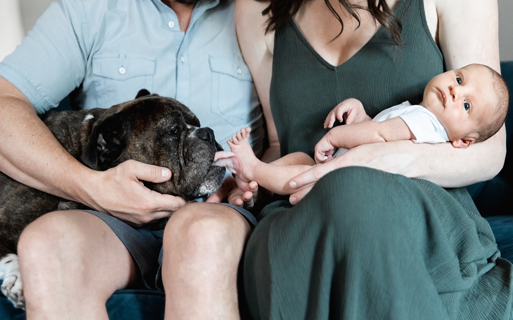 pet photography, fun st louis photographer fanara photography