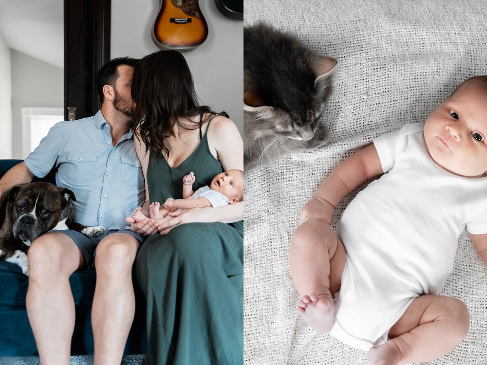 newborn photographer, pet photographer, family photographer, st louis