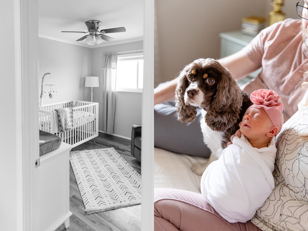St Louis Newborn Photographer_0019 newborn with dog