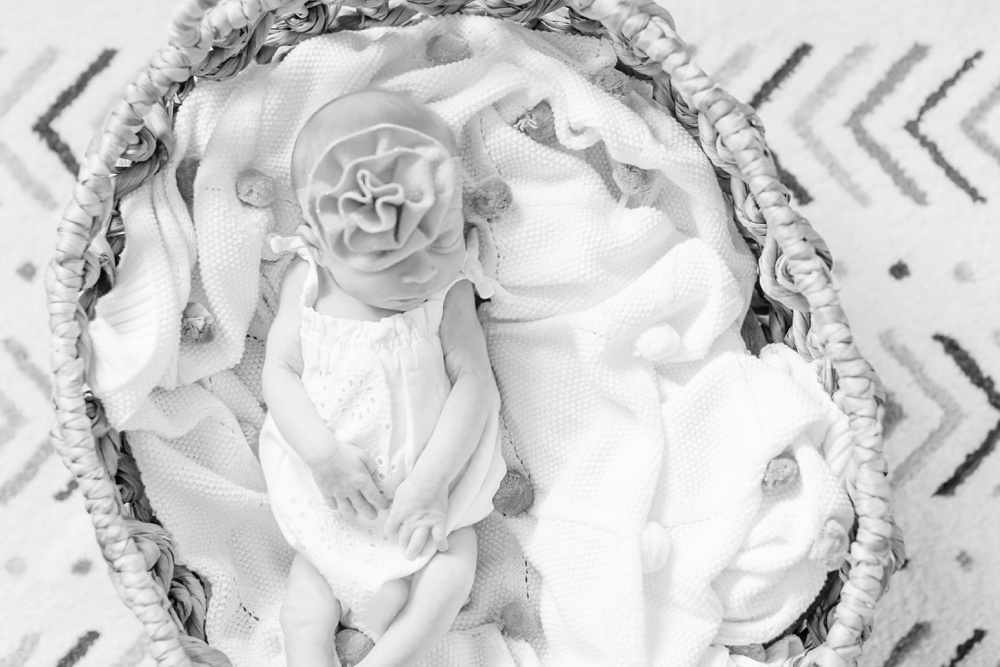 St Louis Newborn Photographer_0024 newborn photography