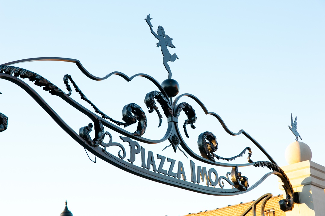 St Louis Wedding Photographer_0032 piazza imo