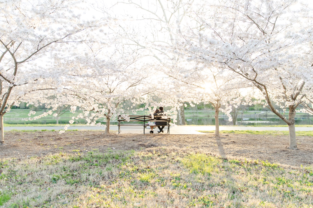 spring engagement in st louis