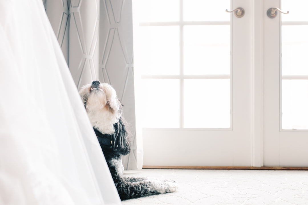 Fanara Photography_0027