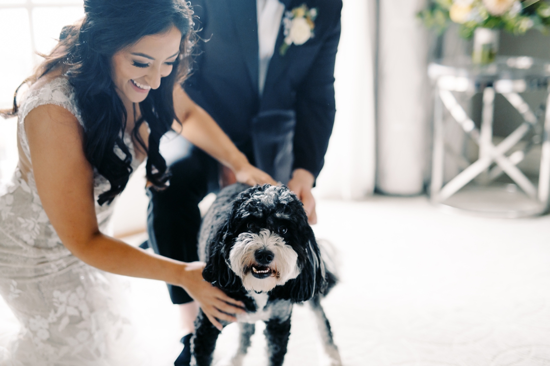 Dog-friendly wedding preparations with Bear the doodle at The Ritz-Carlton St. Louis.