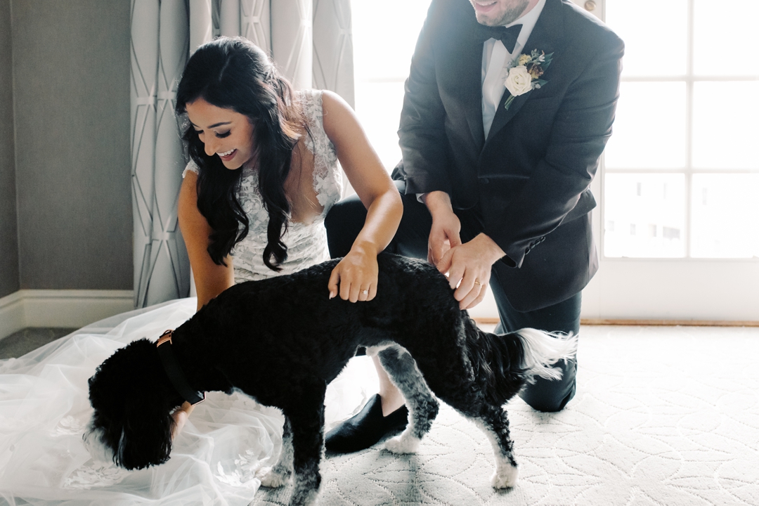 Dog-friendly wedding preparations with Bear the doodle at The Ritz-Carlton St. Louis.