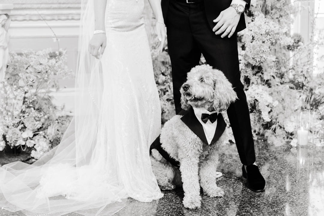 Deane and Jeff posing with their golden doodle, Donnie, in the elegant setting of the Missouri Athletic Club.