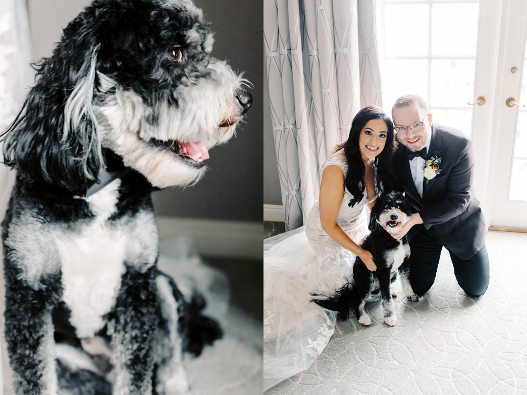 Dog-friendly wedding preparations with Bear the doodle at The Ritz-Carlton St. Louis.