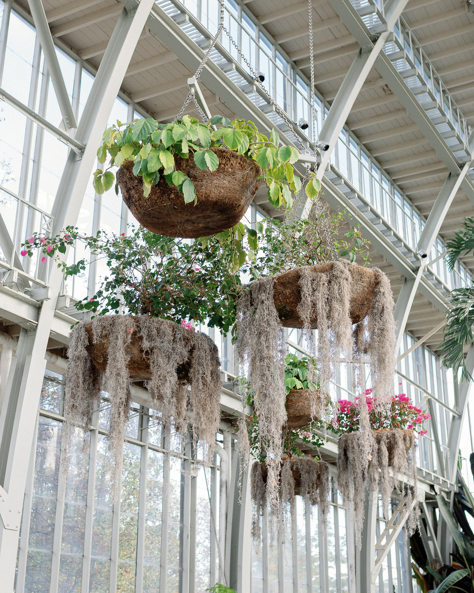 Wedding details at the Jewel Box in St Louis