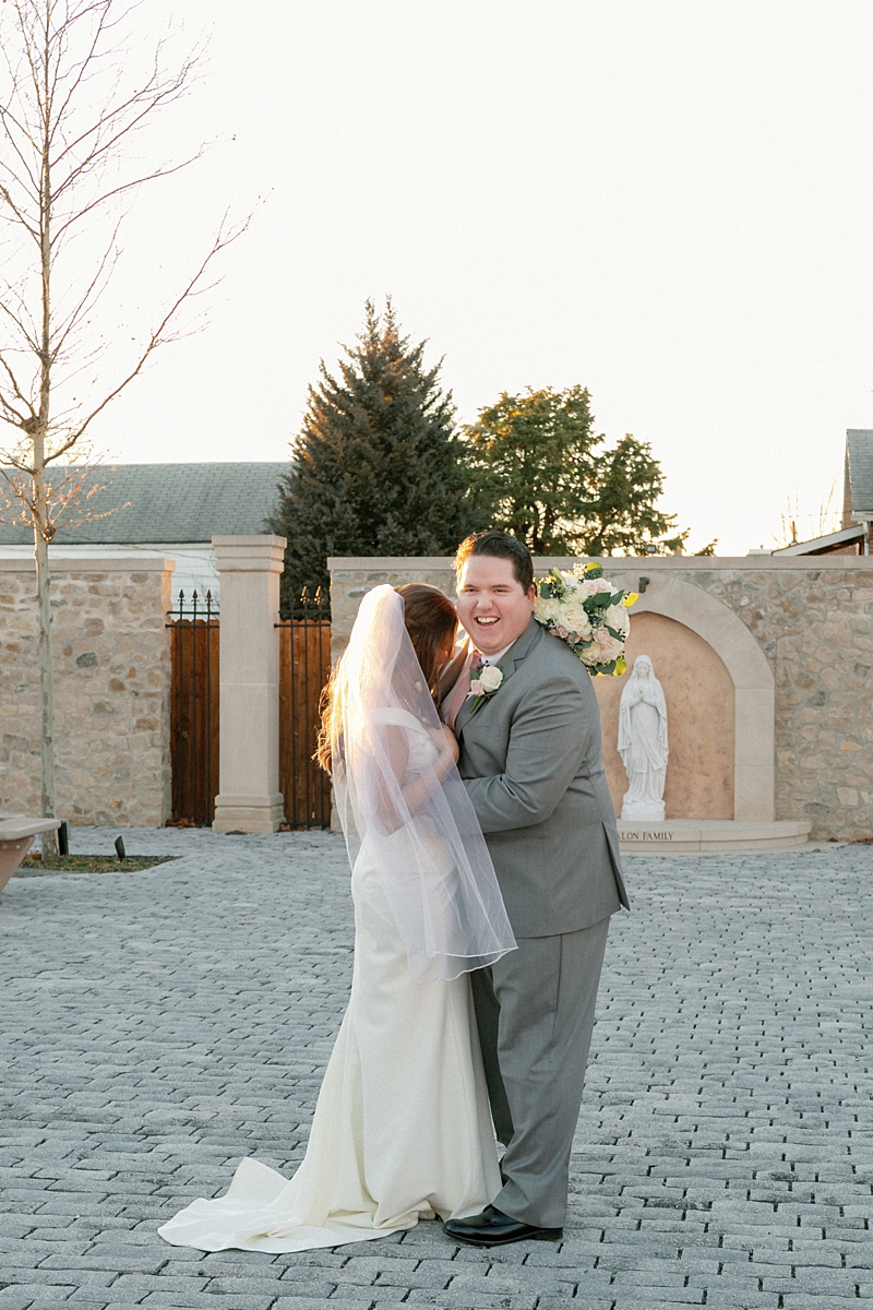 Wedding portrait of Andrea and Jason in St. Louis Missouri