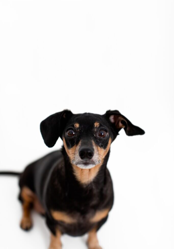 Fanara Photography_0005