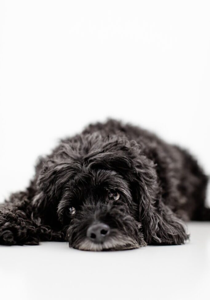 Fanara Photography_0006